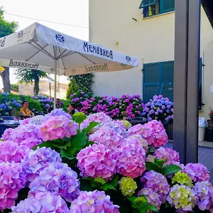 https://hotel-silvia.hotelitalianriviera.com