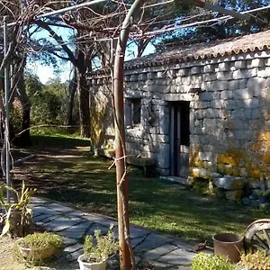 https://agriturismo-la-vigna.in-sardinia.net